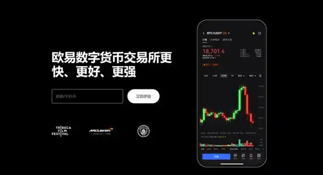 ok交易官网-跨境支付数字钱包官方网站页面展示